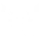 Elari